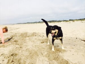 photo-8