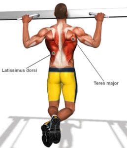 Back-Exercises-l