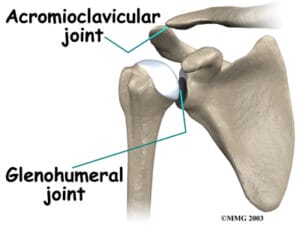 shoulder_anatomy_bones02