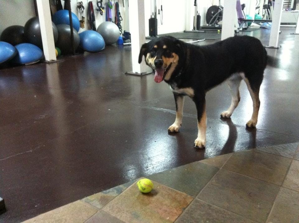 How To Go From A Follower to a Leader – The Art of Team 4 IMG_0857 (1)