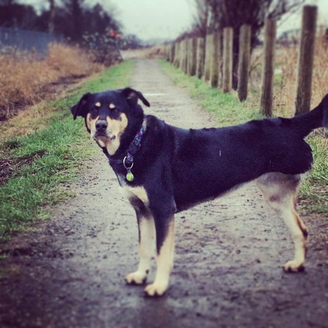 How To Go From A Follower to a Leader – The Art of Team 5 IMG_7976